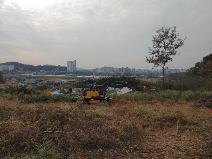 오늘의 산정솔빛마을 20년11월05일