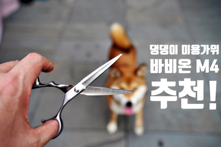  강아지미용가위 셀프미용 추천 애견가위는 바비온 M4 6인치 일자가위