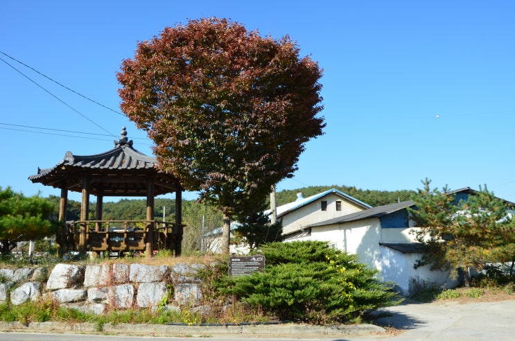  [경북 농촌체험휴양마을] 영주 농협 발상지 새내역사마을 탐방(feat. 새내역사체험관)