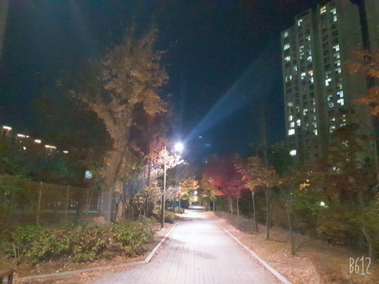  김포신도시 걷기 좋은 곳 구래동 호수공원 걷기운동은 장수 비결