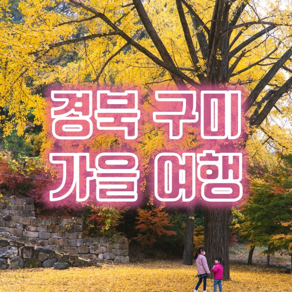 경북 구미 가을 여행지 수다사와 선산곱창 맛집 대한곱창