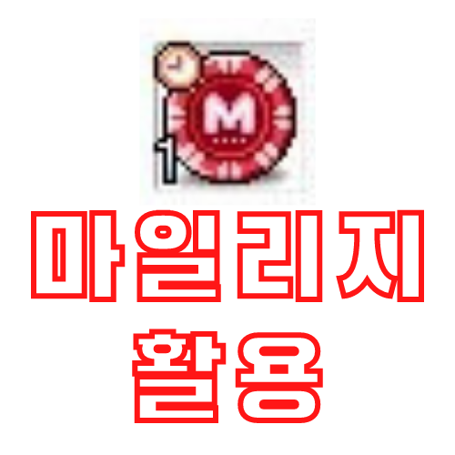  메이플 마일리지 200% 활용하기 (마일리지 사용할만한 상품 추천)