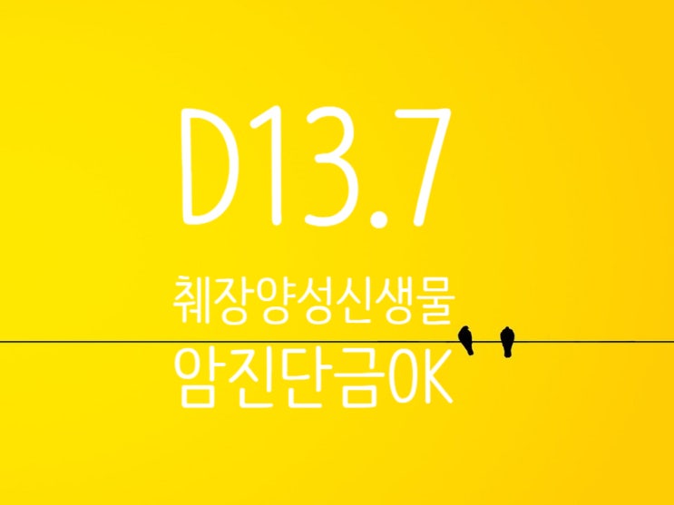  D13.7 췌장의 양성 신생물 암진단비(고액암) 대상 확인 필독!!!