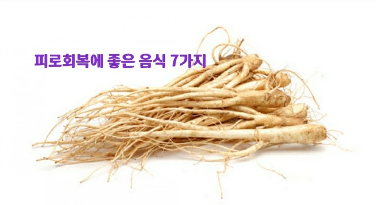 기관지에 좋은 도라지 효능 알아보기 기관지에 좋은 도라지 효능 알아보기