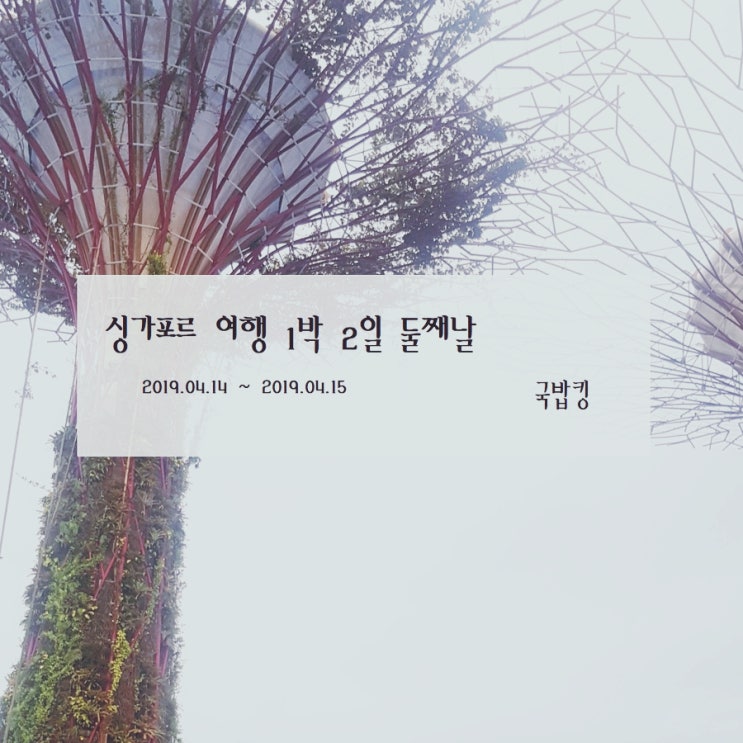 동남아 속의 작은 유럽, 싱가포르 마지막날 티옹바루빵집,서점,찰스앤키스,딘타이펑,무스타파센터 2019.04.14~2019.04.15