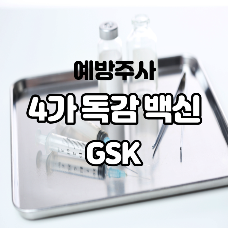 4가 독감 백신 GSK는 무엇인가 유료 예방 주사 대략적인 가격은? 4가 독감 백신 GSK는 무엇인가 유료 예방 주사 대략적인 가격은?