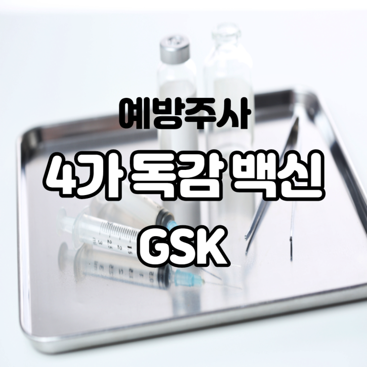 4가 독감 백신 GSK는 무엇인가 유료 예방 주사 대략적인 가격은?