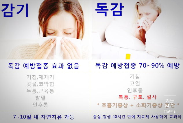  헷갈리는 호흡기질환(코로나19, 독감,폐렴,감기)  어떻게 구별? 항생제 장기복용후 장염