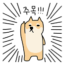 11/5 상한가 종목 및 오늘의 강약 테마 11/5 상한가 종목 및 오늘의 강약 테마