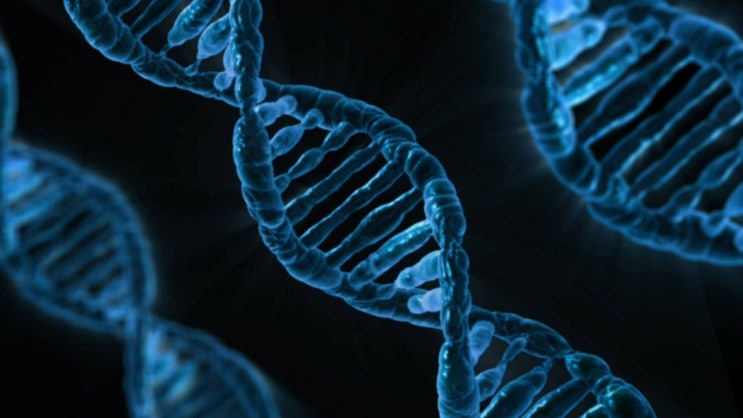  살찌는 원인이 유전자 에도? DNA 다이어트?(비만 유전자 3총사)