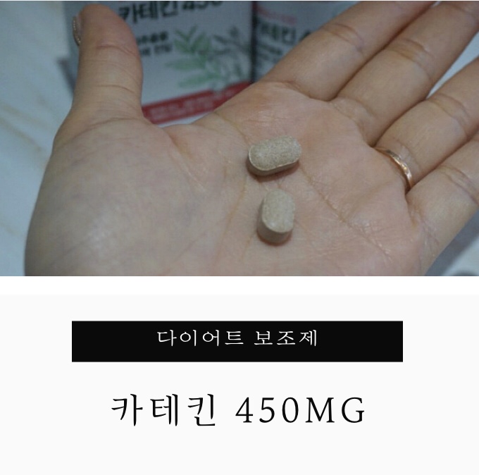  다이어트 시작할땐, 체지방컷팅제는 필수! 카테킨 450mg