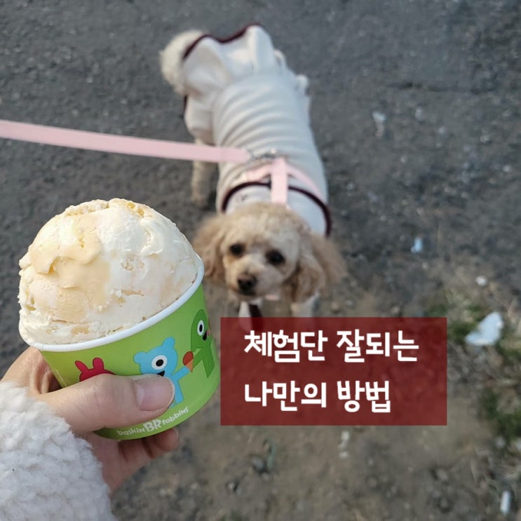  블로그체험단 선정 잘되는 나의 방법과 체험업체 공유