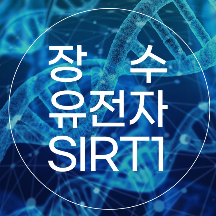  장수 유전자가 있다고? 노화방지, 장수비결 알려 드립니다!