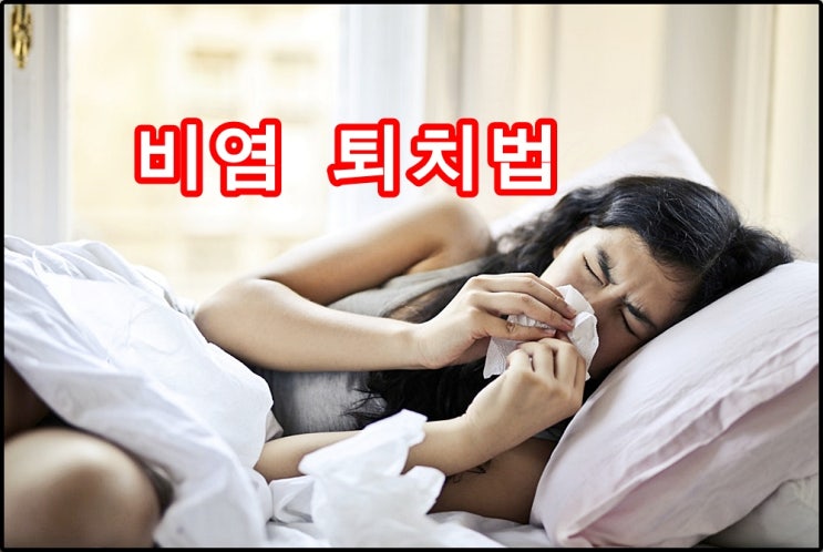  비염약 말고, 비염 다스리는 방법 TOP 3!