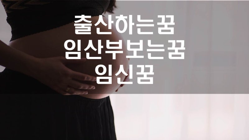 임신하는꿈, 임산부 보는꿈, 출산하는꿈, 와이프가 출산하는꿈, 만삭의 임신부를 보는꿈, 시....