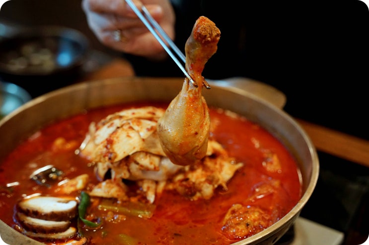  몸보신 제대로한 교대역 닭도리탕 맛집