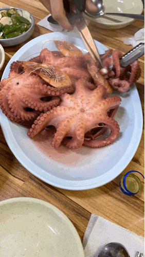  [맛집 리뷰] 문어숙회가 맛있는 영도맛집 "멍텅구리"