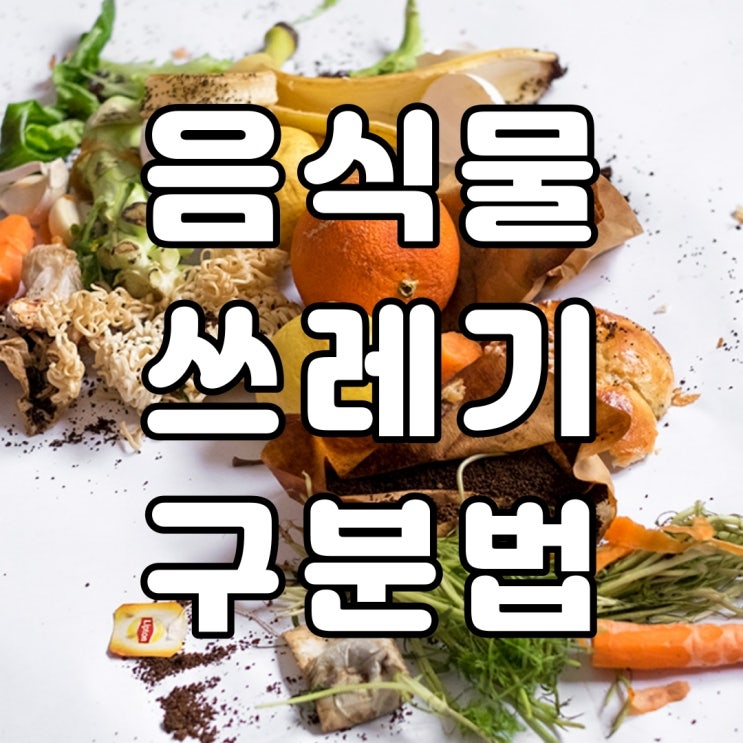  음식물 쓰레기 배출 요령(구분 방법)
