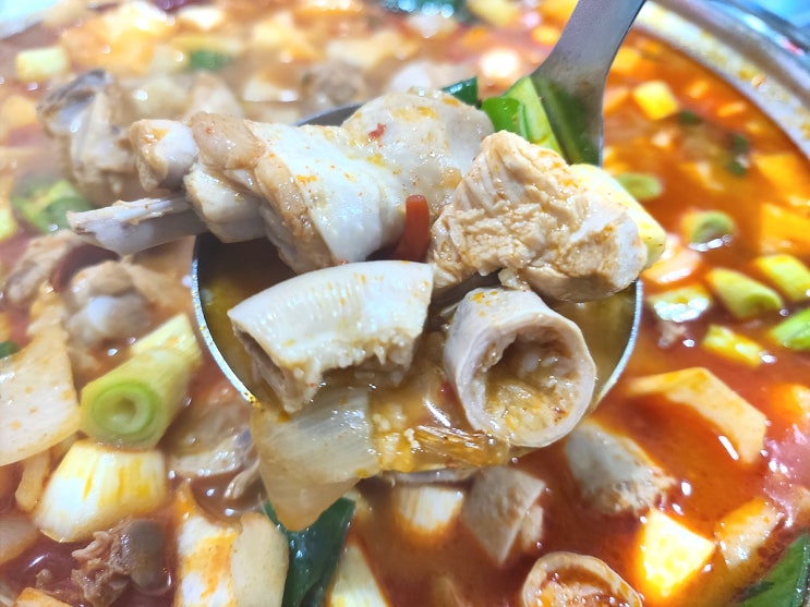 [대전 태평동 맛집] 곱도리탕을 얼큰하게 맛볼 수 있는 사나이창 태평점(유천동)