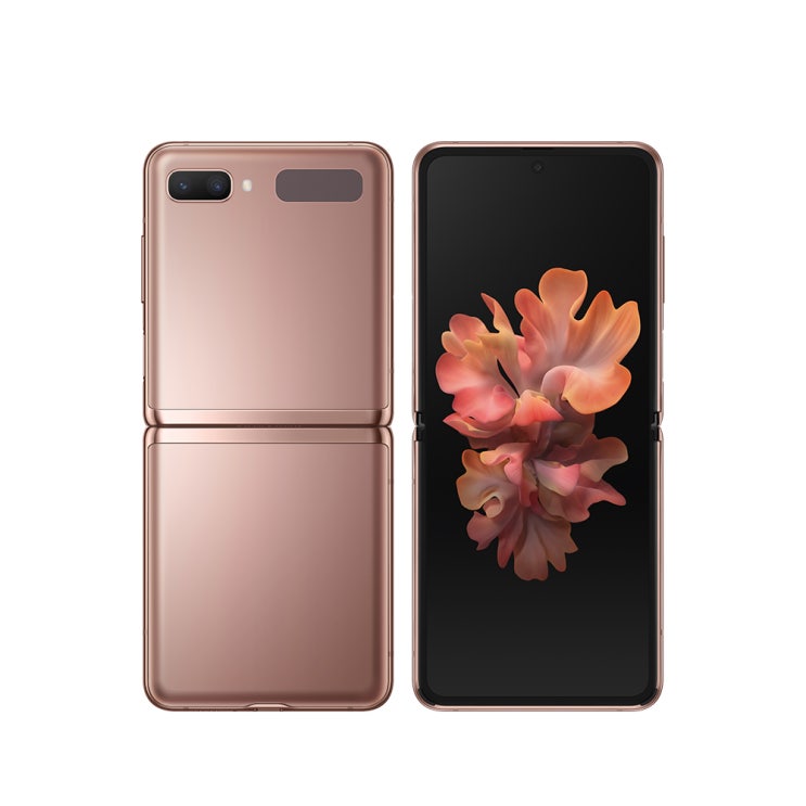  삼성전자 갤럭시 Z 플립 5G SM-F707, 공기계, 미스틱 브론즈, 256GB
