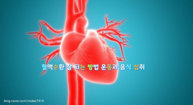 혈액순환 잘 되는 방법 운동과 음식 섭취의 중요성~