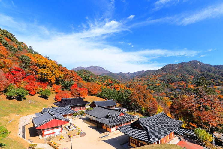  합천 가볼만한곳 해인사 원당암 단풍
