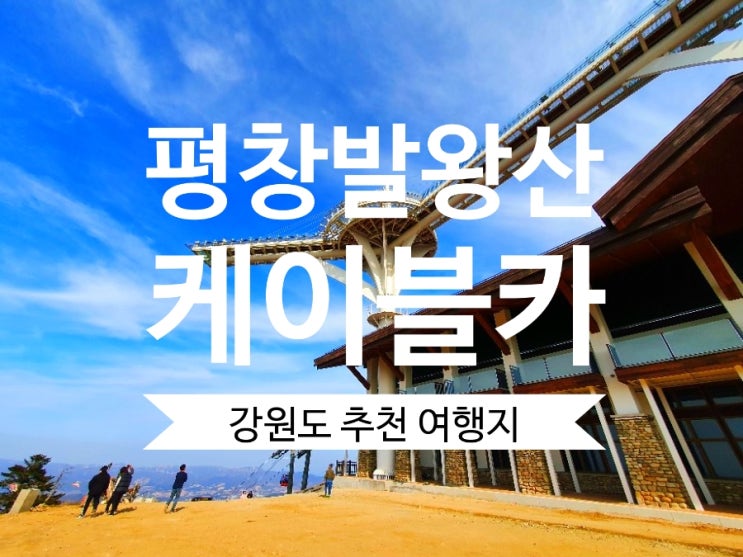 용평리조트 발왕산케이블카 스카이워크~서울대나무까지 찐