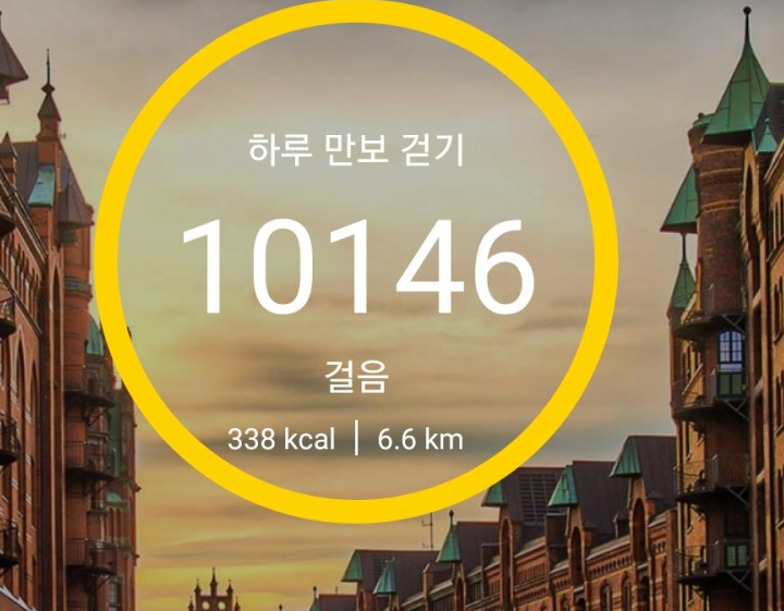  하루 만보걷기 20일차