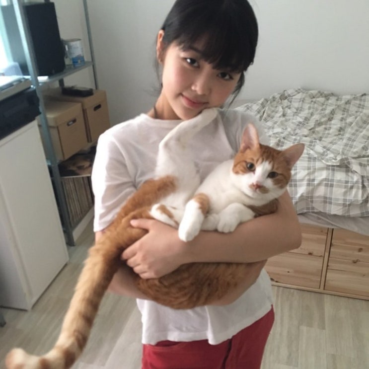  미노이(Meenoi) 요즘 뜨는 싱어송라이터, 음색 여신 시티팝 많이내주세여
