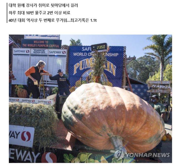  물주는  방법 쉽게 이해하기~