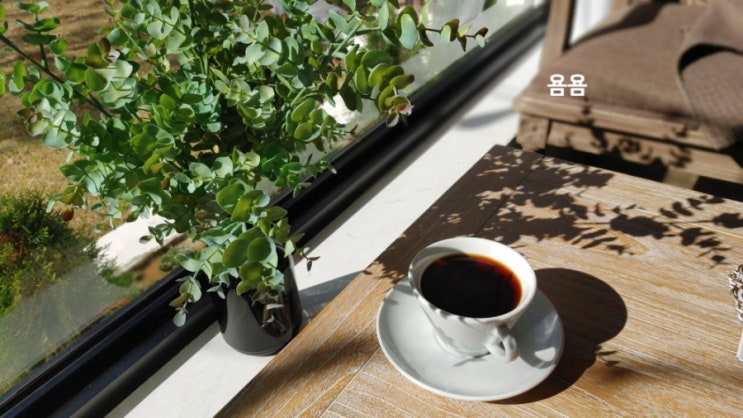 따사로웠던 대구수목원.    카페"WANN" 완