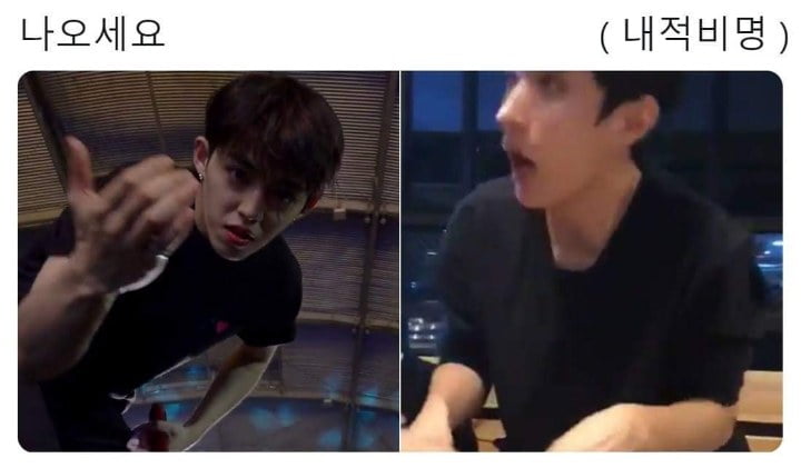 세븐틴으로 보는 콘서트에서 몰래 사진 찍다 걸렸을 때 유형 세븐틴으로 보는 콘서트에서 몰래 사진 찍다 걸렸을 때 유형