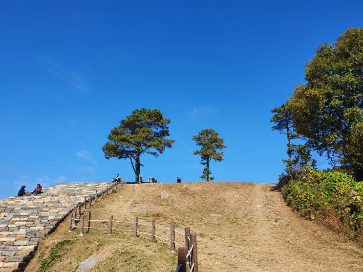  대전 계족산 등산코스 (비래사→절고개 →계족산성 집수지 삼거리→계족산성→계족산성 사거리→임도삼거리→계족산(봉황정)→임도산거리→절고개→비래사 / (약12km/4시간)