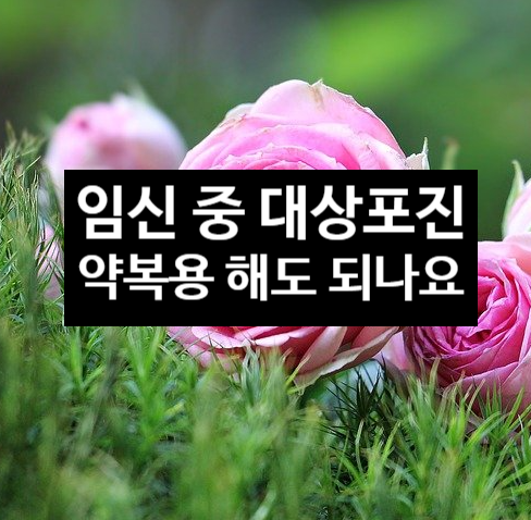  임신 중 대상포진과 약복용