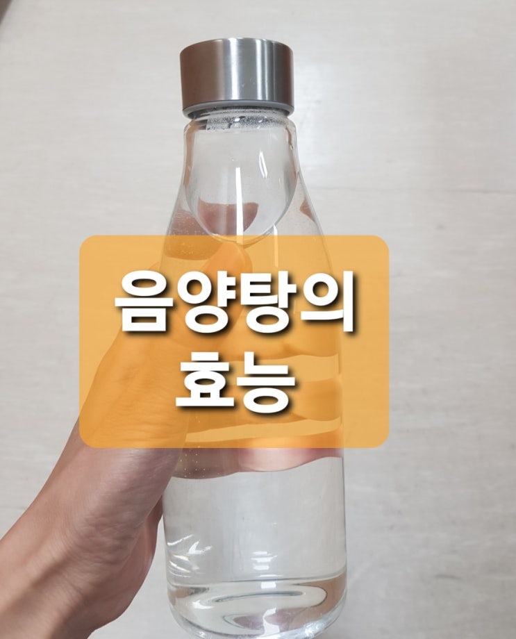  음양탕 면역력에 좋음