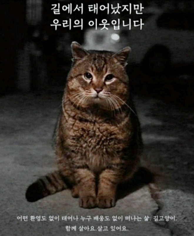  해외선물 대여계좌 신중히 실체결대여업체 선정 피해 발생없이 사용