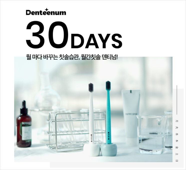  덴티넘 월간칫솔 선물로 딱
