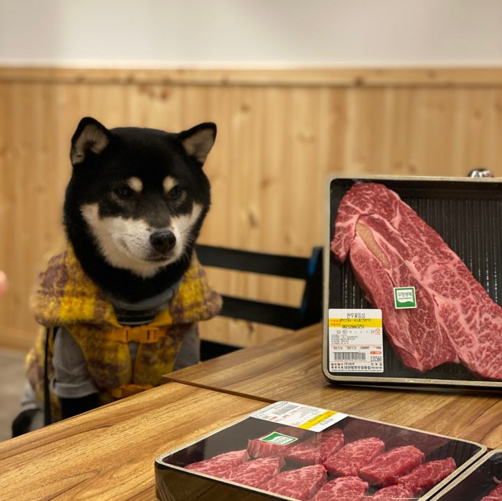  강원도애견동반 한우는 역시 와우