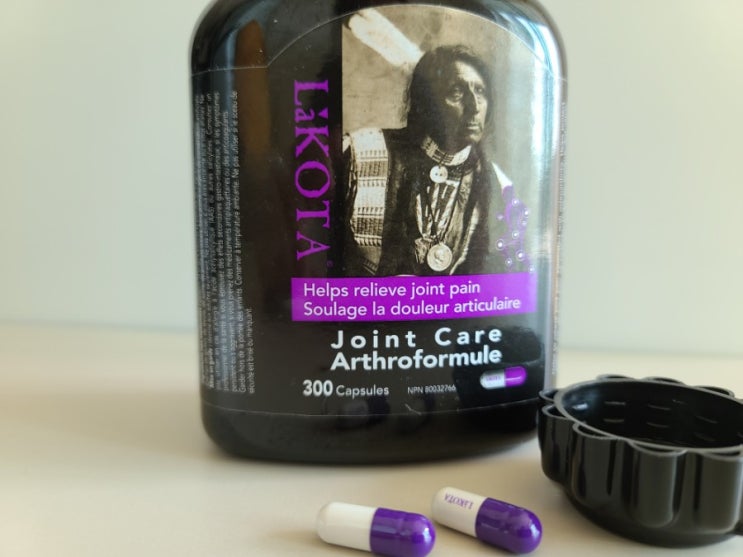  캐나다 여행(직구포함) 쇼핑필수품  LAKOTA joint  care (라코타 조인 케어 )천연 관절(연골)영양제 ㅡ조카의 늦은 생일 선물
