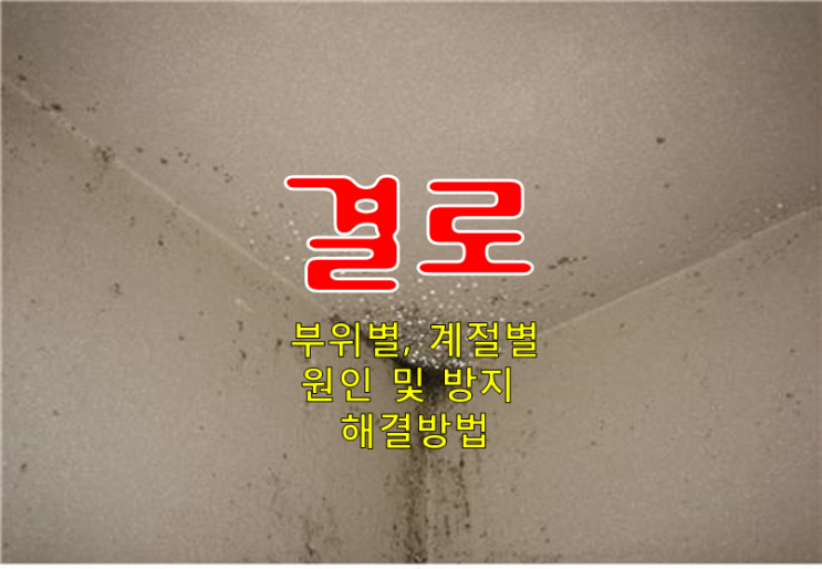 결로 부위별, 계절별 원인 및 방지 해결 방법