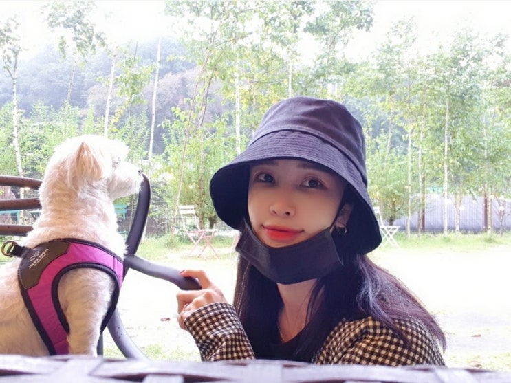  [남한산성] 가족 나들이 코코밸리 애견 카페 셀카 맛집 / 산성별장에서 산채비빔밥, 도토리묵, 파전 안주 최고 잣 막걸리 - 과음 주의