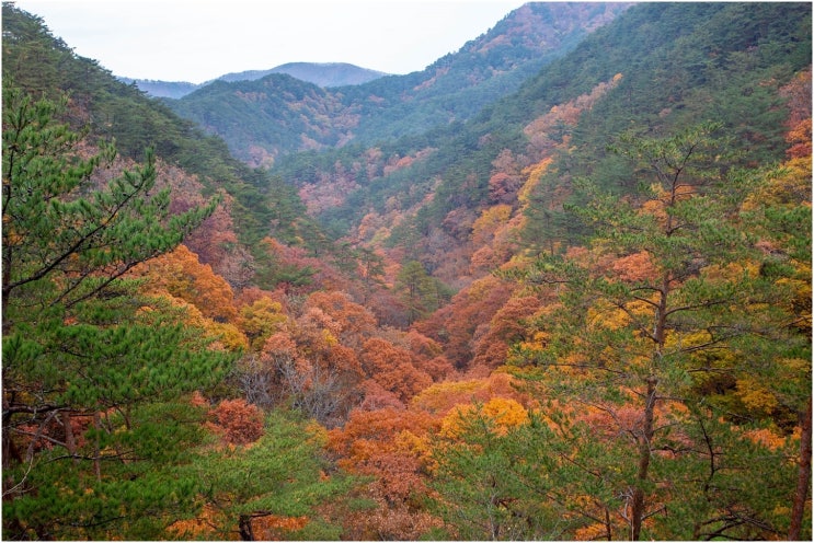  주왕산