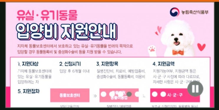 [사이트] 동물등록. 유기견 입양. 실종신고. 맹견훈련.
