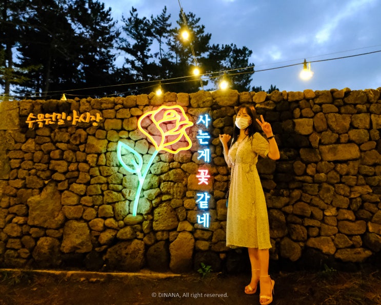 제주의 밤풍경 한라수목원 야시장 제주의 밤풍경 한라수목원 야시장