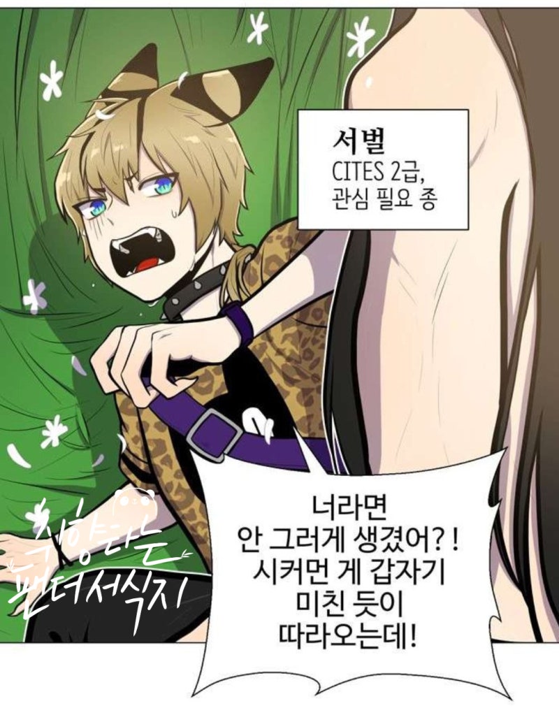 bl웹툰 동물의 왕국 : 보호구역의 동물사랑사 엿보기 (미스터블루) : 네이버 블로그 Bl웹툰 동물의 왕국 : 보호구역의 동물사랑사 엿보기 (미스터블루) : 네이버 블로그