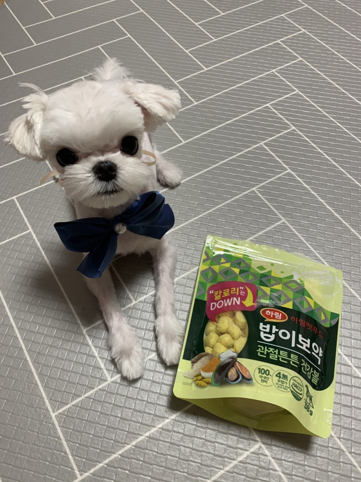  [gs25 편의점 강아지 간식] 하림펫푸드 밥이보약 관절튼튼 건강볼 (보상용 간식으로 딱이에요)