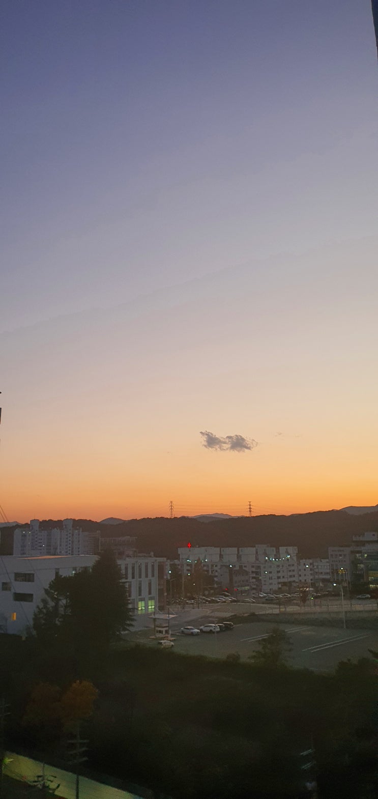  퇴근 후 소소한 일상