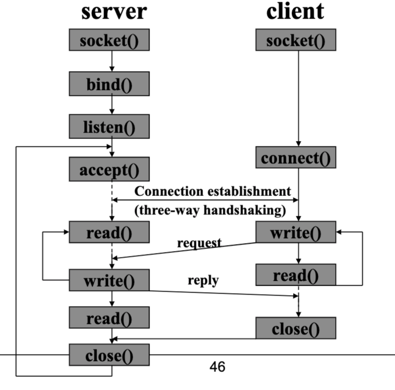 [네트워크] _ Socket Programming 코딩, C언어로 TCP/UDP 구현 : 네이버 블로그