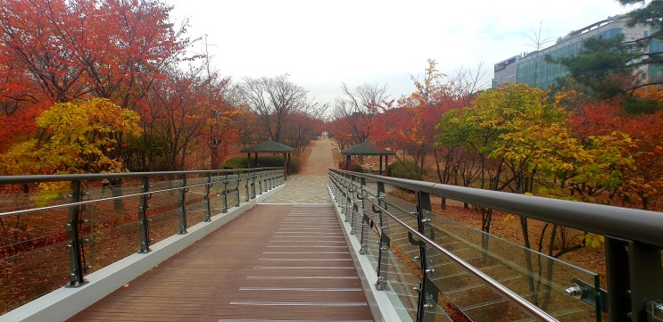  2020-11-06_ 중앙공원 점심시간