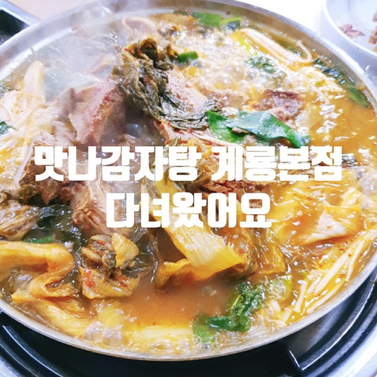  계룡 맛집 맛나감자탕
